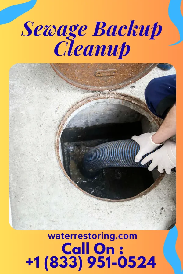 Sewage Backup Cleanup in Fate, TX